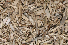 biomass boilers Polbain