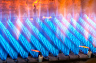Polbain gas fired boilers